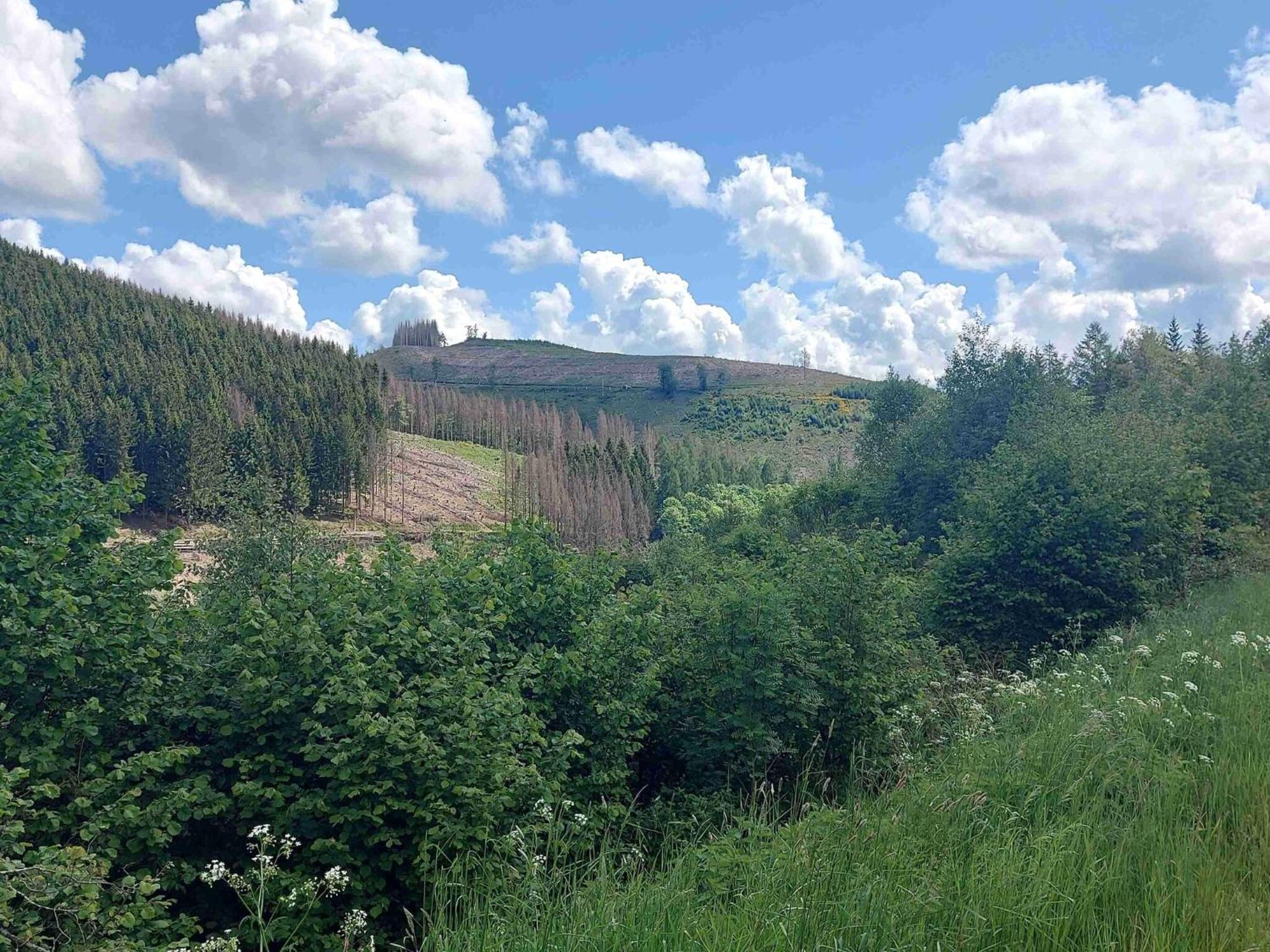 Holiday Apartment With Terrace In Winterberg Luaran gambar