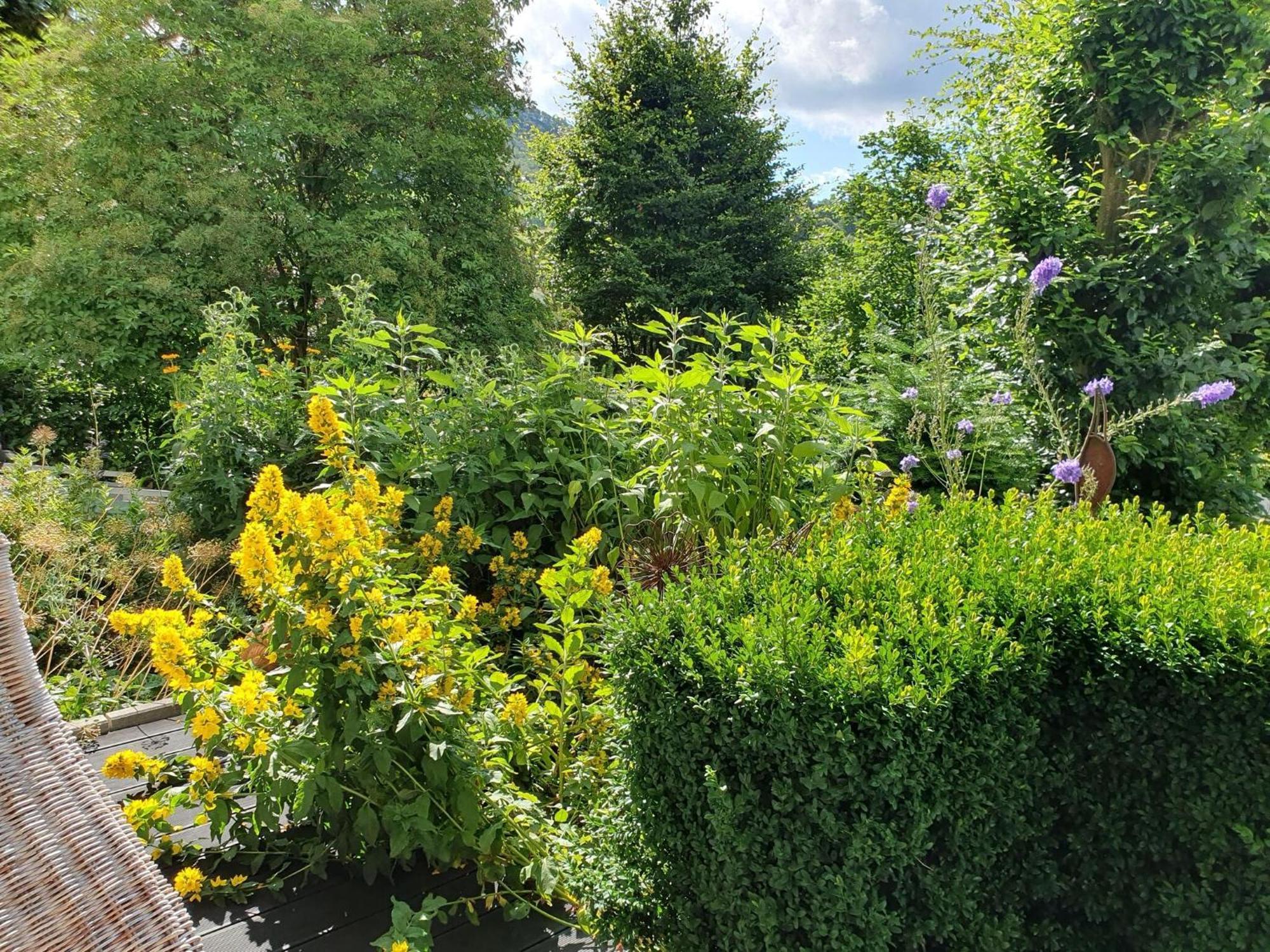 Holiday Apartment With Terrace In Winterberg Luaran gambar