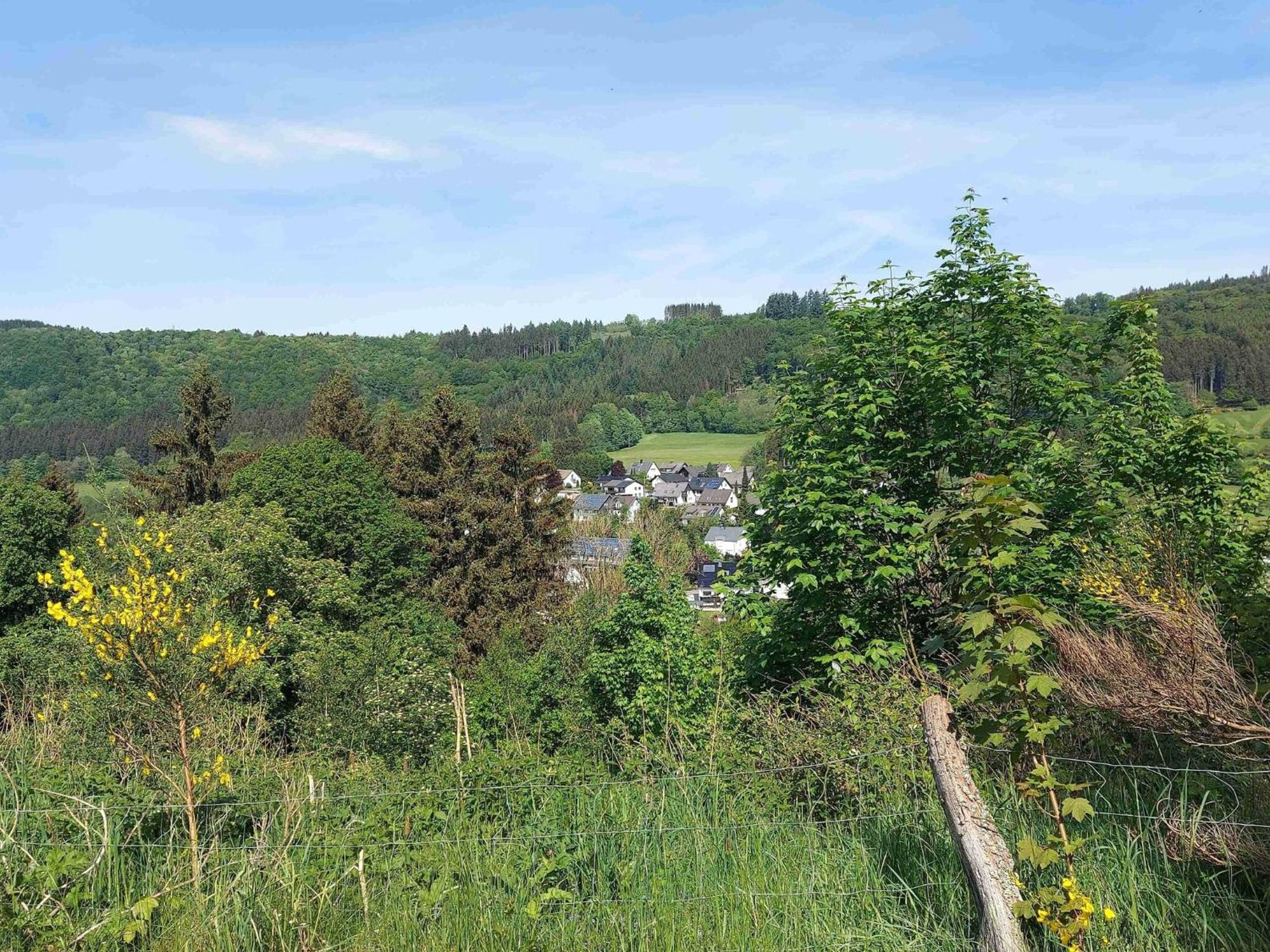 Holiday Apartment With Terrace In Winterberg Luaran gambar